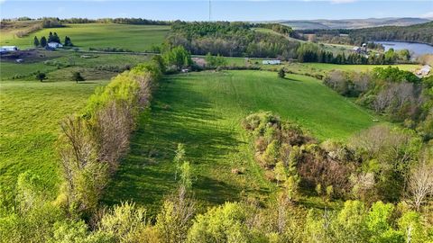 Vacant Land For Sale - 224 Smith Road<br/> Worcester, NY 12197