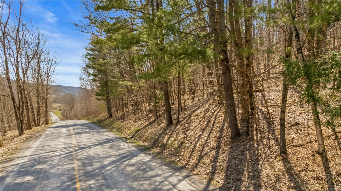 L9.113 Lutheranville Road, Summit, New York image 13