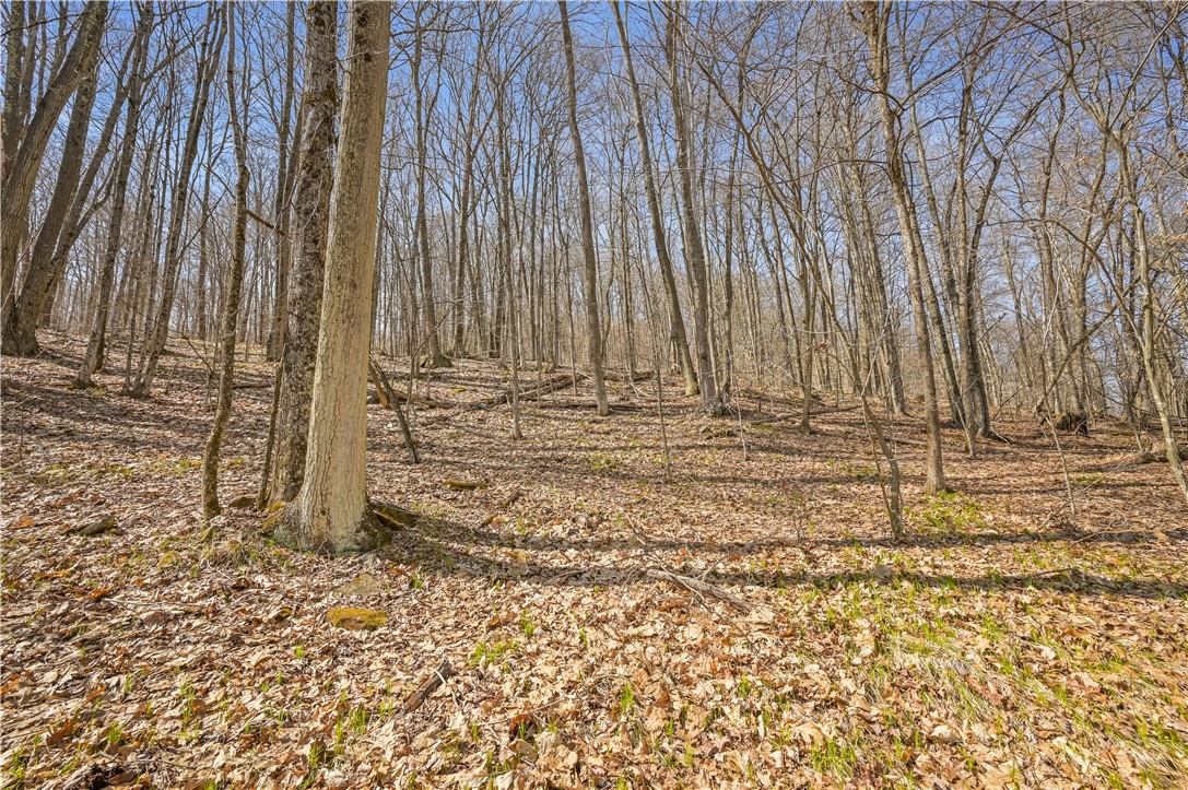 L9.113 Lutheranville Road, Summit, New York image 3