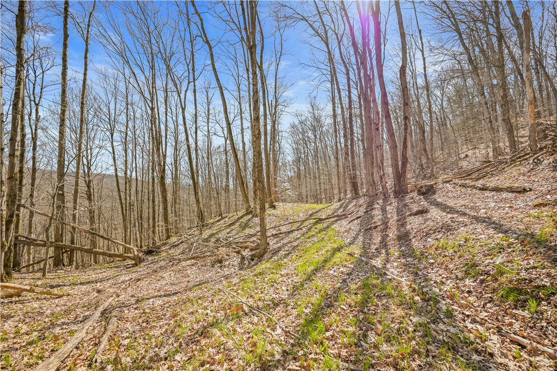 L9.113 Lutheranville Road, Summit, New York image 5