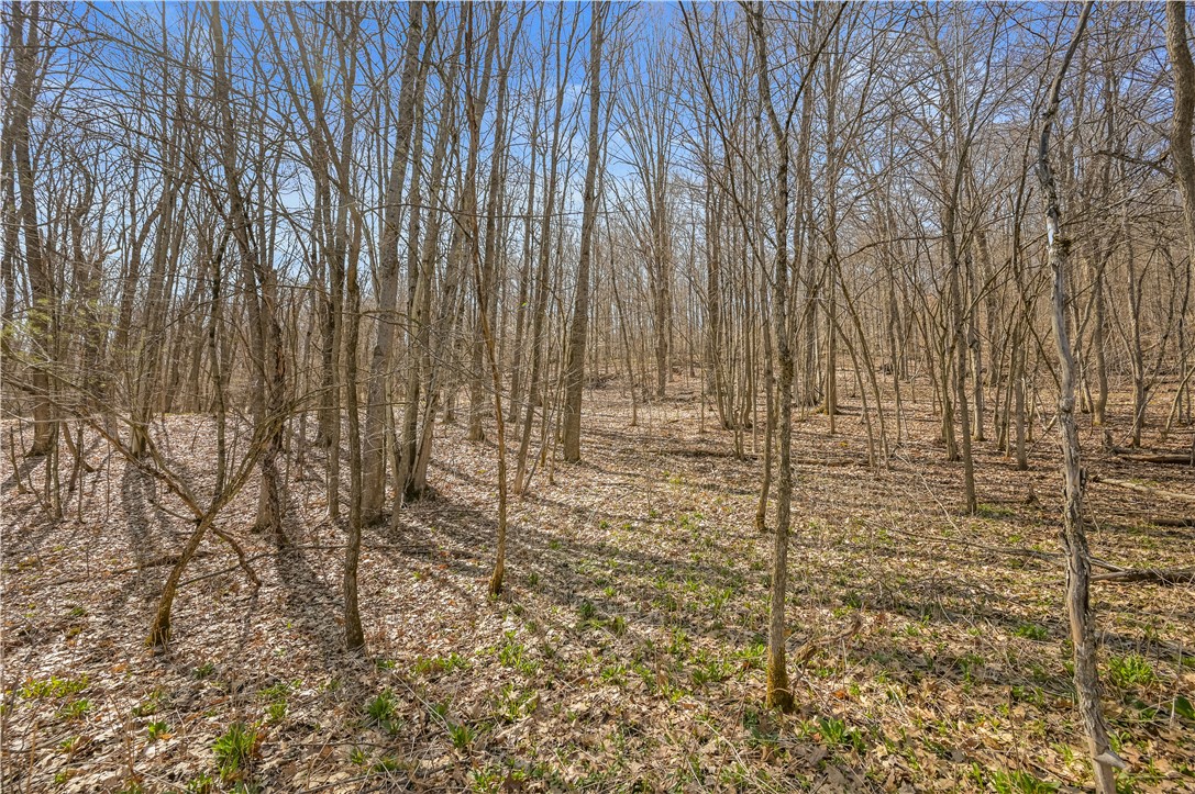 L9.113 Lutheranville Road, Summit, New York image 9