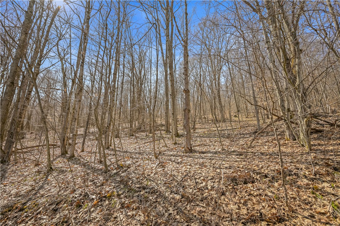 L9.113 Lutheranville Road, Summit, New York image 7