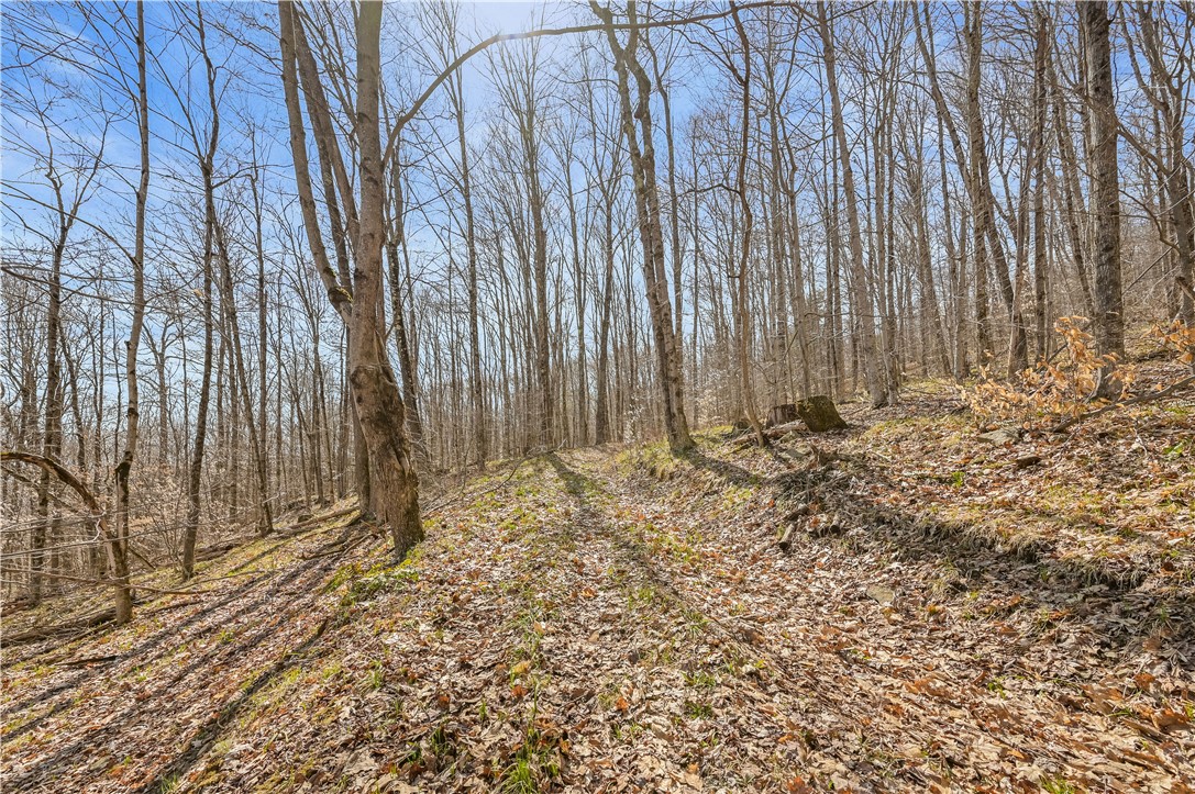 L9.113 Lutheranville Road, Summit, New York image 4