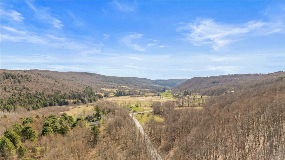 L9.113 Lutheranville Road, Summit, New York image 11