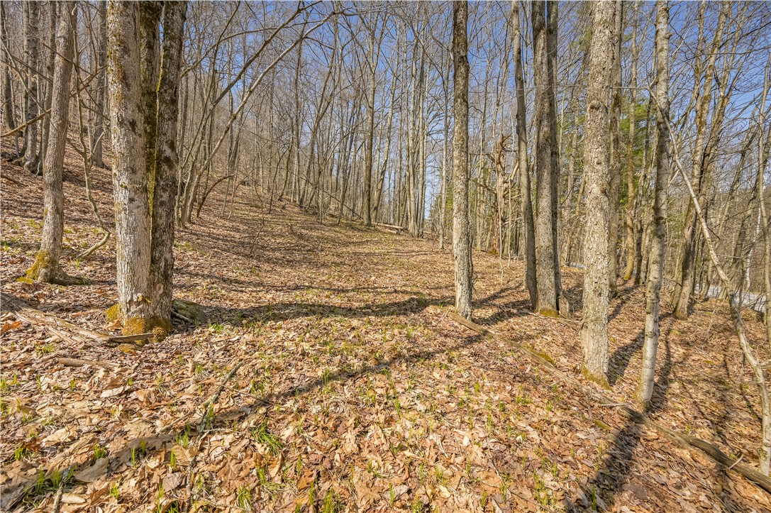 L9.113 Lutheranville Road, Summit, New York image 1