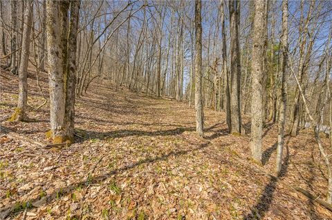 Vacant Land For Sale - L9.113 Lutheranville Road<br/> Summit, NY 12064