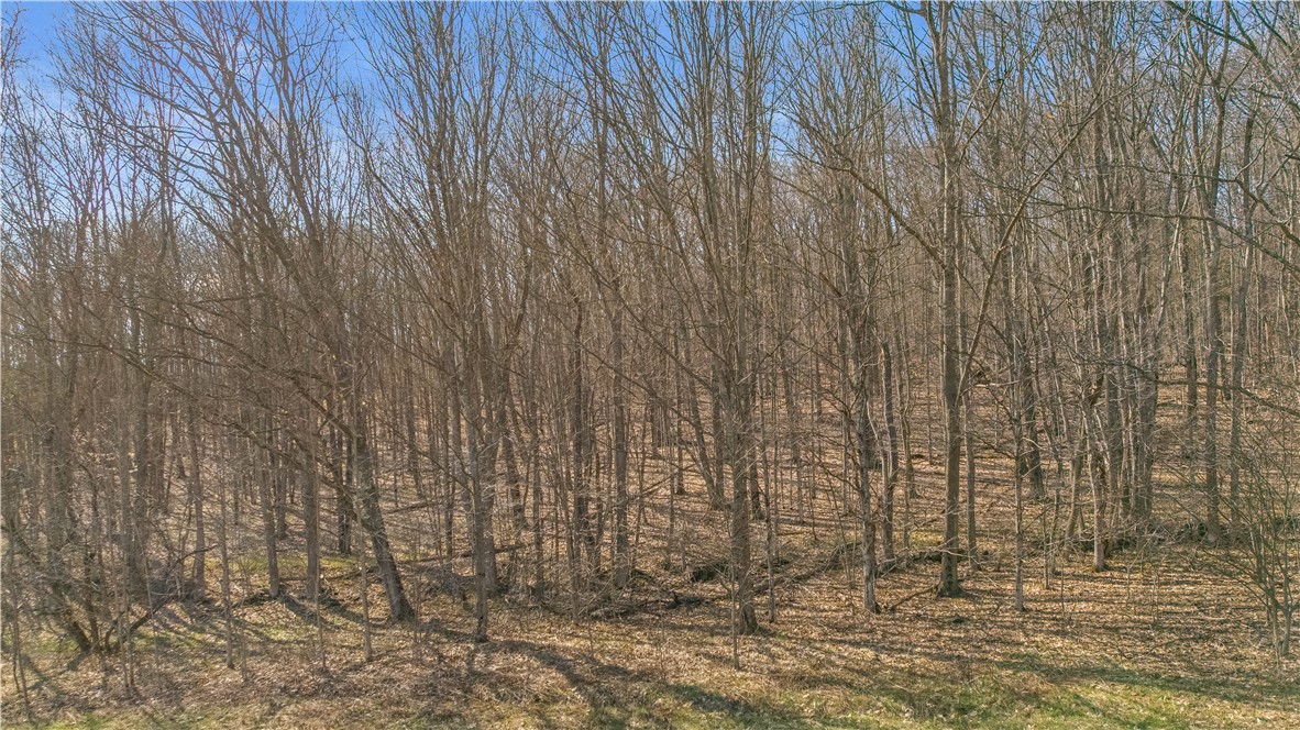 L9.113 Lutheranville Road, Summit, New York image 12