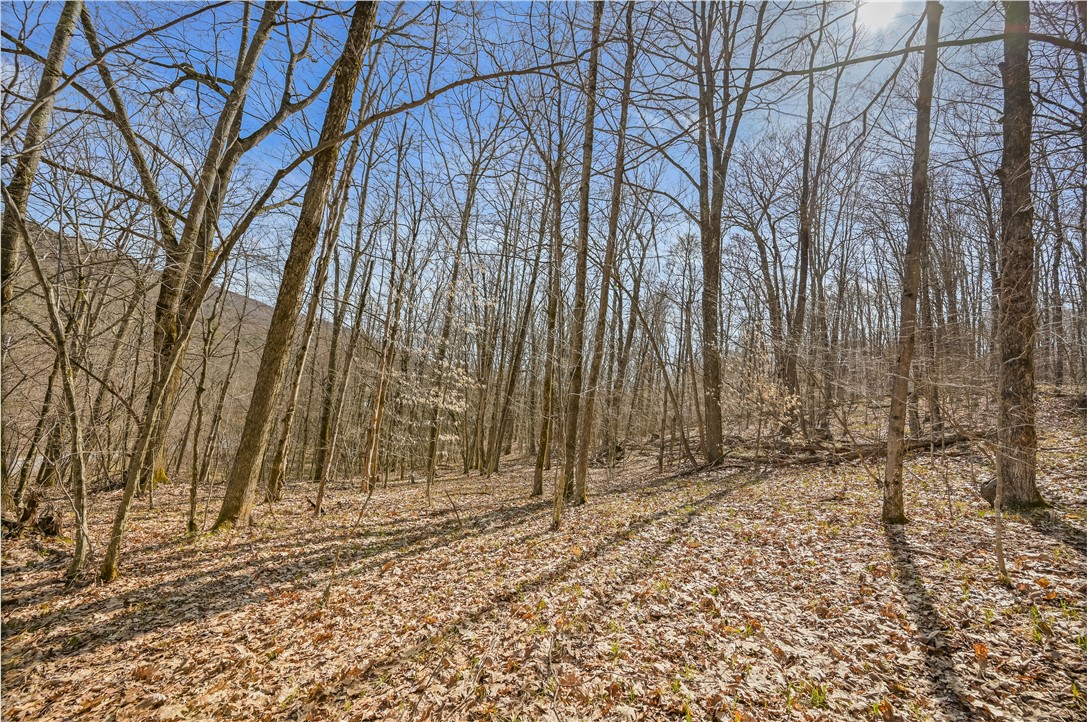 L9.113 Lutheranville Road, Summit, New York image 6