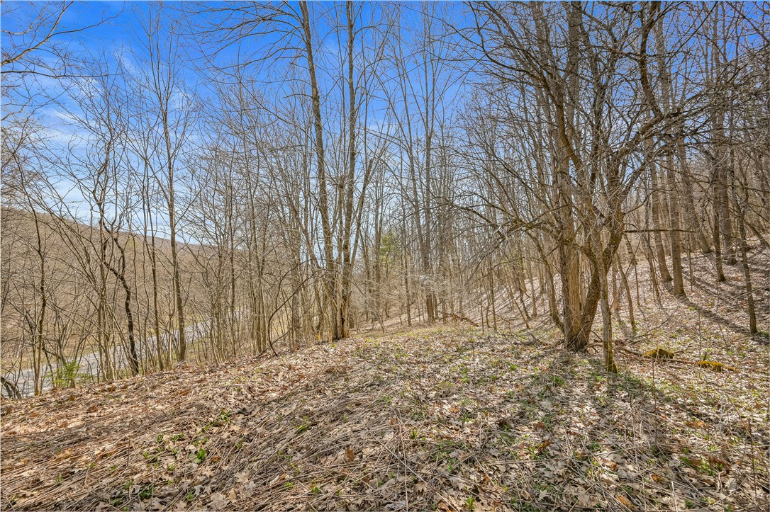 L9.113 Lutheranville Road, Summit, New York image 8