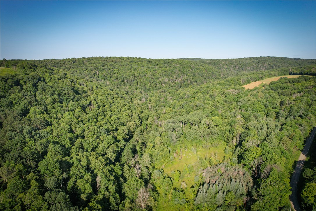 Williams Road, Candor, New York image 1