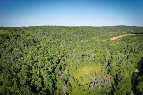Vacant Land For Sale - Williams Road<br/> Candor, NY 13743