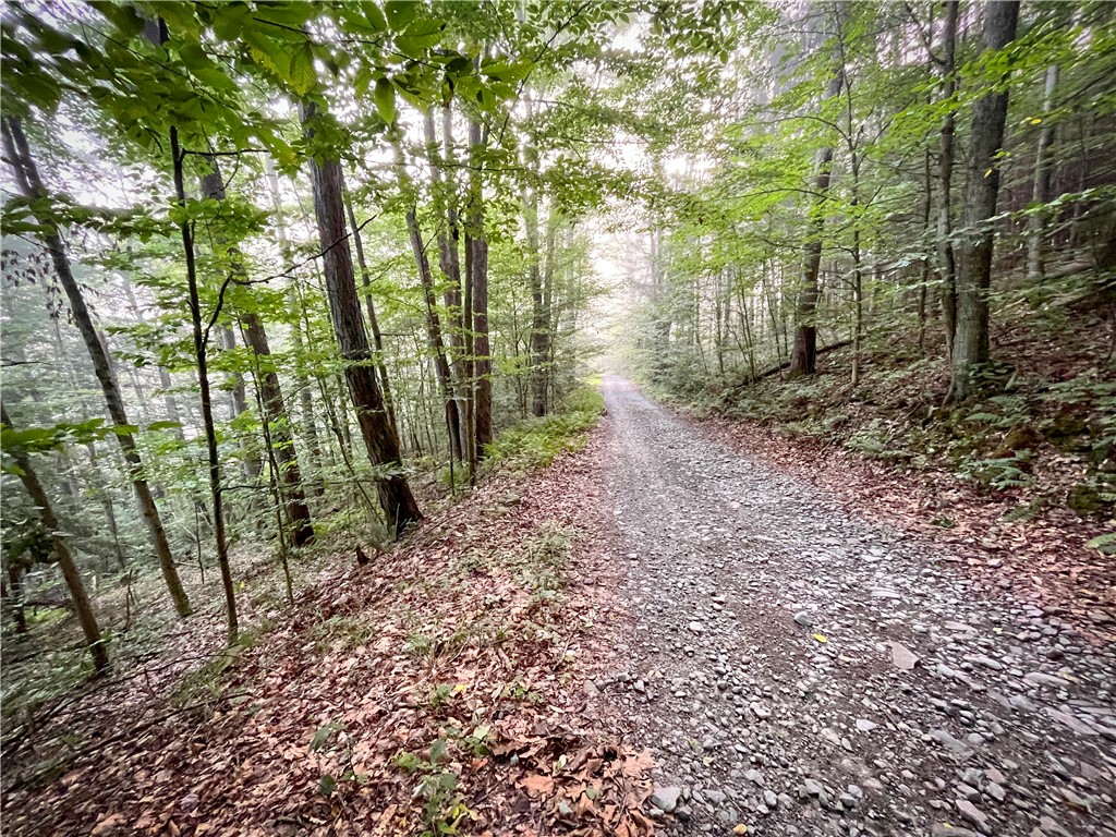 Williams Road, Candor, New York image 9
