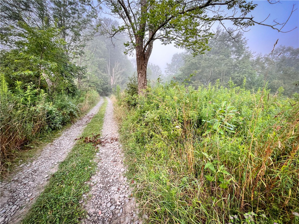 Williams Road, Candor, New York image 8