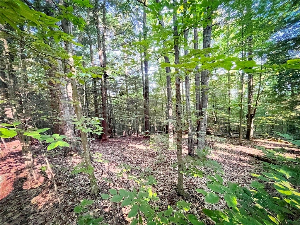 Williams Road, Candor, New York image 20
