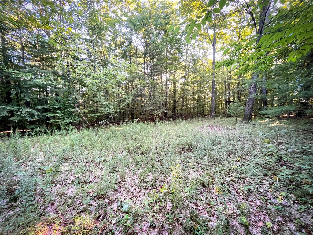 Williams Road, Candor, New York image 18