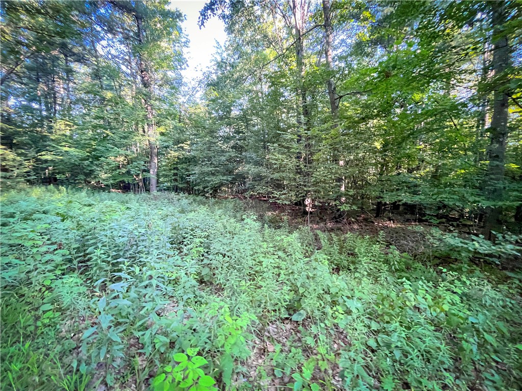 Williams Road, Candor, New York image 17