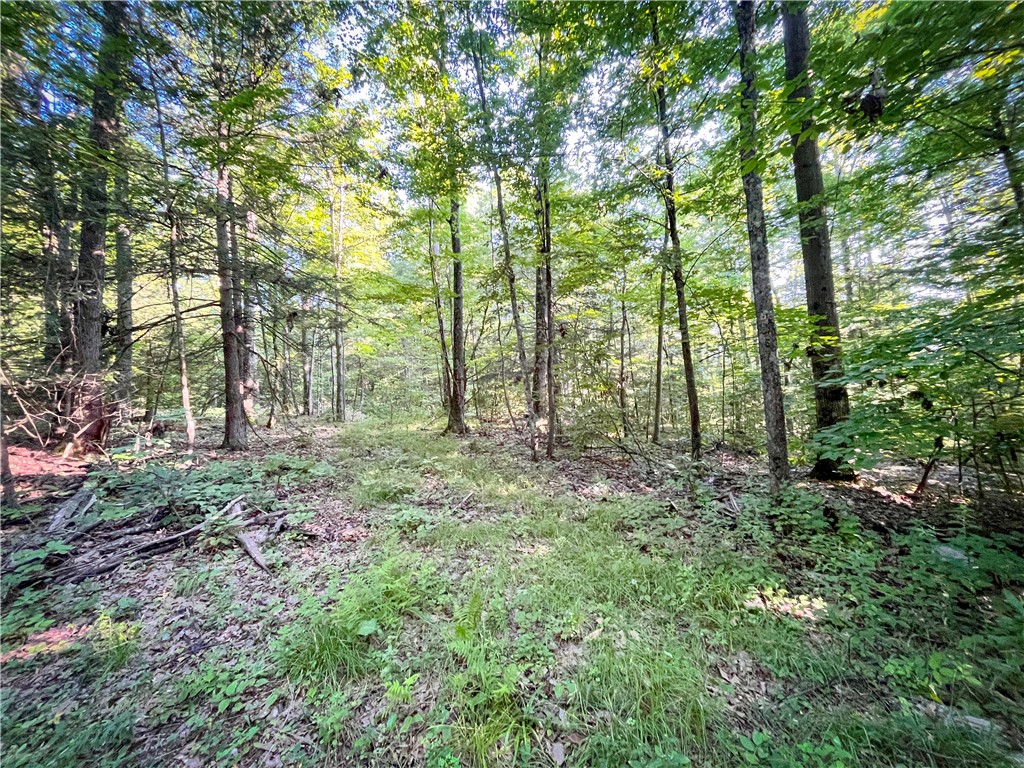 Williams Road, Candor, New York image 16
