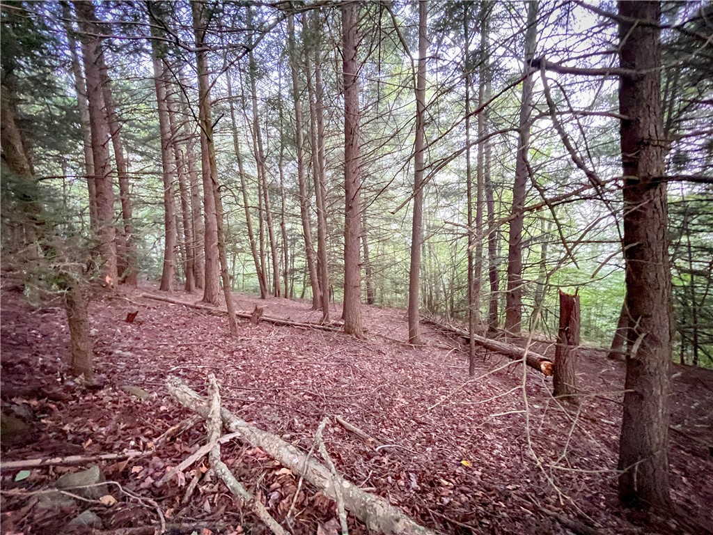 Williams Road, Candor, New York image 7