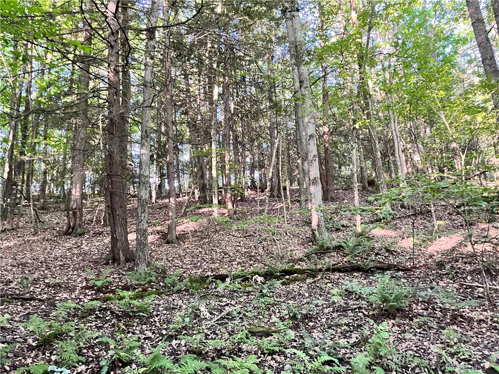Williams Road, Candor, New York image 24