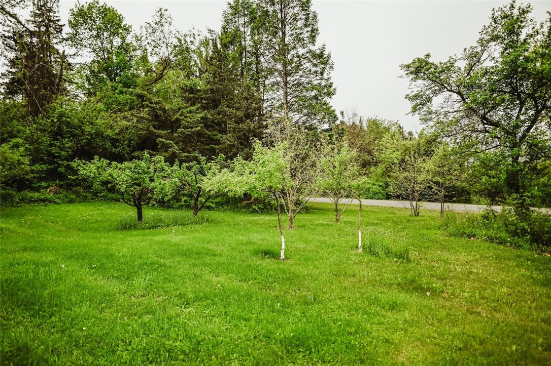 1840 Watson Circle Dr, Tully, New York image 17