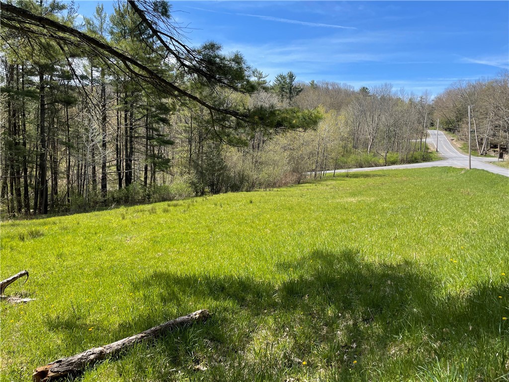 Lot #27.1 Bida Road, New Berlin, New York image 1