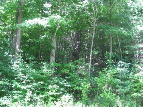 Vacant Land For Sale - 62054 State Route 415<br/> Cohocton, NY 14826