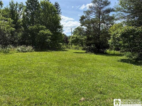 Tiny photo for 0 Chautauqua Avenue, North Harmony, NY 14710 (MLS # R1693596)