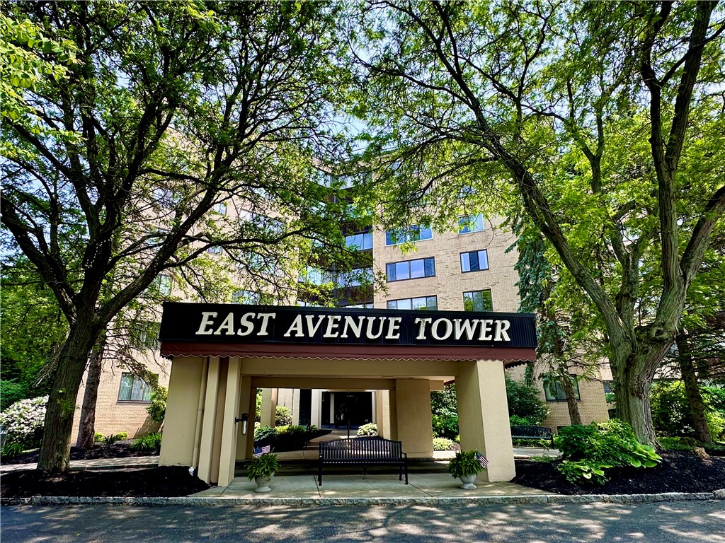 2501 East Avenue Avenue