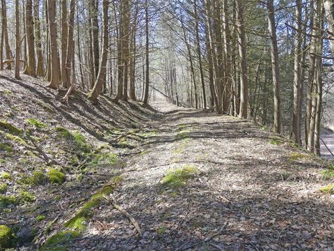 Vacant Land For Sale - 5565 Beech Hill Road<br/> Delaware County, Andes, NY 13731