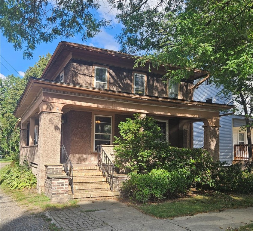 16 elizabeth street