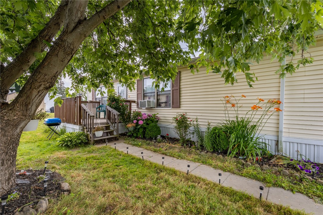 29 Chestnut Drive