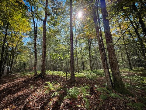 Vacant Land For Sale - Tamblin Ridge<br/> Oswego County, Constantia, NY 13028