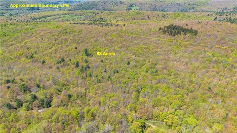 Vacant Land For Sale - Sanly Road<br/> Franklin, NY 13839