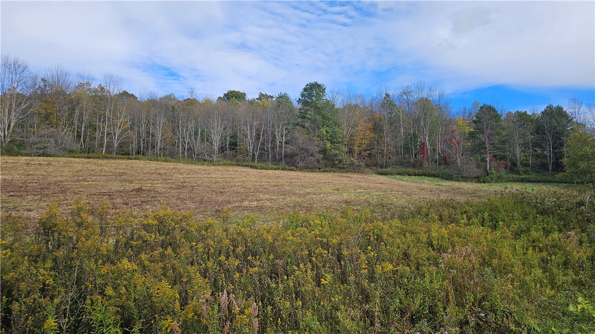 County Route 4, Unadilla, New York image 3