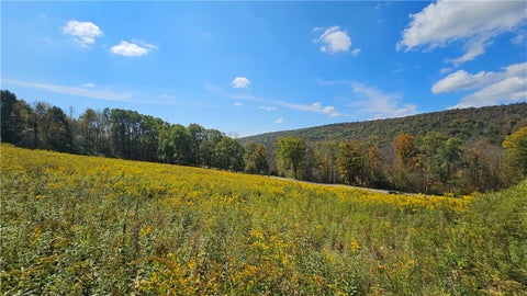 Photo for 0 County Route 4