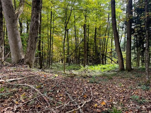 Tiny photo for 7465 Chappel Road, Hamilton, NY 13346 (MLS # R1660303)