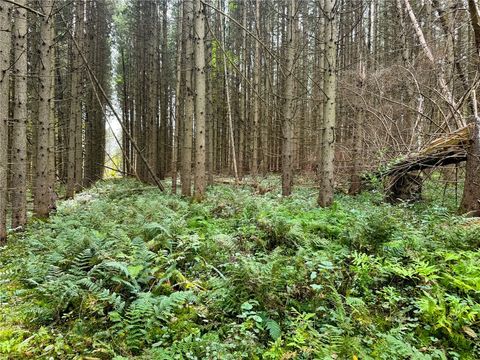 Tiny photo for 7465 Chappel Road, Hamilton, NY 13346 (MLS # R1660303)