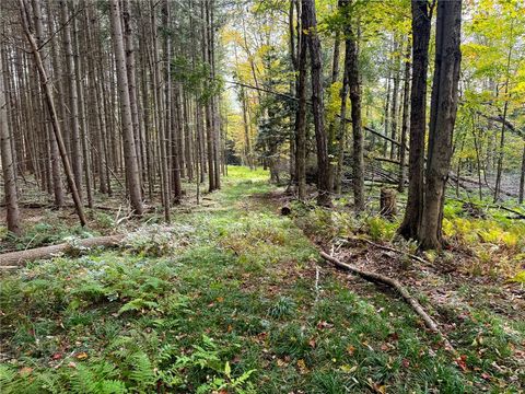 Tiny photo for 7465 Chappel Road, Hamilton, NY 13346 (MLS # R1660303)