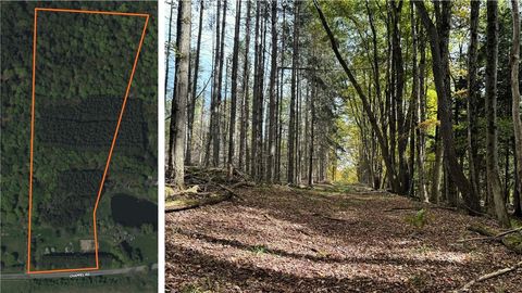 Tiny photo for 7465 Chappel Road, Hamilton, NY 13346 (MLS # R1660303)