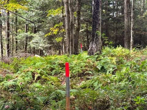 Tiny photo for 7465 Chappel Road, Hamilton, NY 13346 (MLS # R1660303)