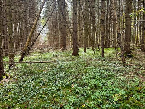 Tiny photo for 7465 Chappel Road, Hamilton, NY 13346 (MLS # R1660303)