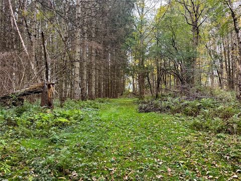 Tiny photo for 7465 Chappel Road, Hamilton, NY 13346 (MLS # R1660303)