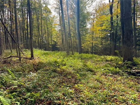 Tiny photo for 7465 Chappel Road, Hamilton, NY 13346 (MLS # R1660303)