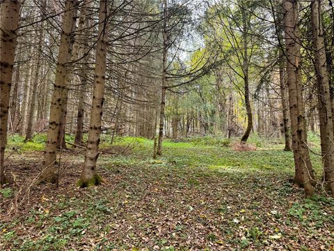 Tiny photo for 7465 Chappel Road, Hamilton, NY 13346 (MLS # R1660303)