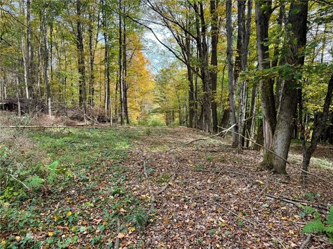 Tiny photo for 7465 Chappel Road, Hamilton, NY 13346 (MLS # R1660303)