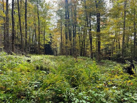 Tiny photo for 7465 Chappel Road, Hamilton, NY 13346 (MLS # R1660303)