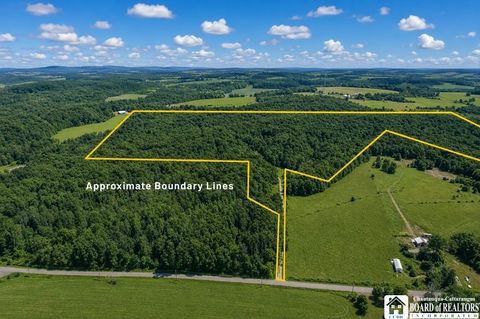 Vacant Land For Sale - Leach Hill Road<br/> Chautauqua County, Ellington, NY 14747