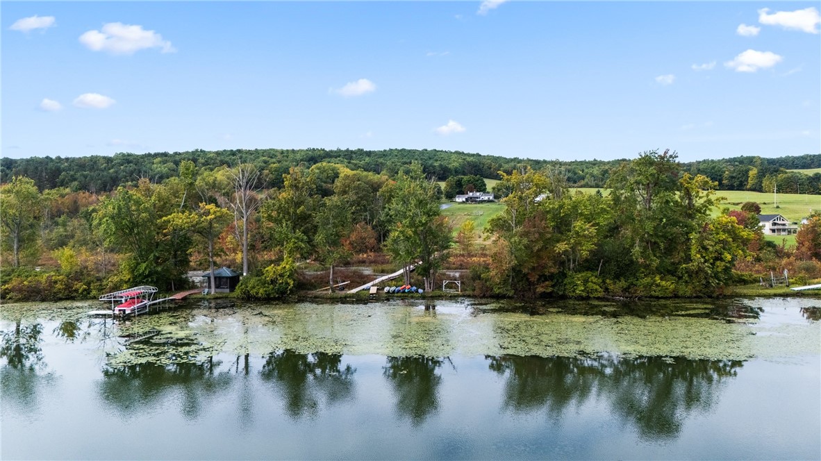 3978 W Waneta Lake Road, Tyrone, New York image 17