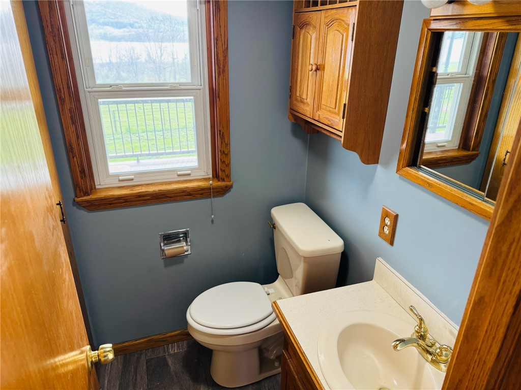 3978 W Waneta Lake Road, Tyrone, New York image 29