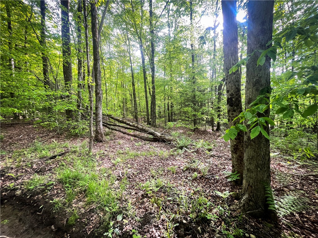 Hubby Road, Richford, New York image 18